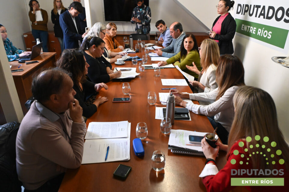 Proponen que la selección de los jueces de Paz pase por el Consejo de la Magistratura